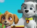 Replay Paw Patrol, la Pat'Patrouille - Mission Dino : A la recherche des oeufs perdus