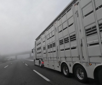 Replay Les routiers : profession chauffeur poids lourd - S2E2 - Sophia et l'ours du Jura