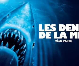 Replay Les dents de la mer 2