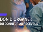 Replay Les reportages de François-Xavier Ménage - DON D'ORGANE : DU DONNEUR AU RECEVEUR