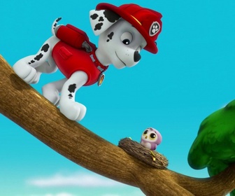 Replay Paw Patrol, la Pat'Patrouille - Le collier porte-bonheur