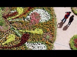 Replay Hongrie : le carnaval des fleurs de Debrecen célèbre en couleurs la fête nationale hongroise