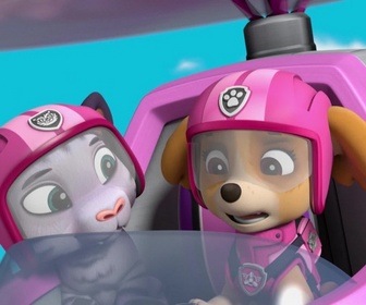 Replay Paw Patrol, la Pat'Patrouille - Sauvetage Extrême : Les Tigres Blancs