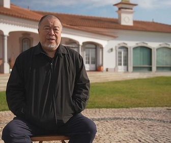 Replay Artiste conceptuel chinois, activiste, dissident - Picasso vu par : Ai Weiwei