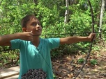 Replay ARTE Journal Junior - Portrait d'enfant : Artur en Amazonie