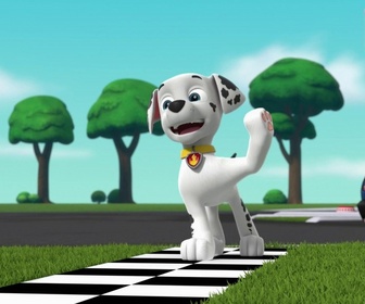 Replay Paw Patrol, la Pat'Patrouille - S10 E39 - Pique-nique en famille