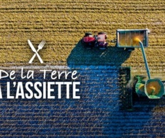 Replay De la terre à l'assiette : Comment les agriculteurs prennent soin de notre santé