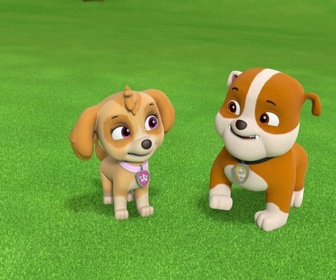 Replay Paw Patrol, la Pat'Patrouille - La journée de l'Amitié - 22'