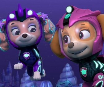 Replay Paw Patrol, la Pat'Patrouille - L'Aqua Patrouille : Le calamar argenté