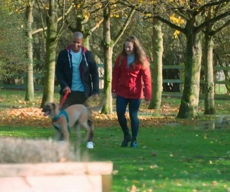 Replay Dog house : un chien pour la vie - S3 E7 - C'est un signe !