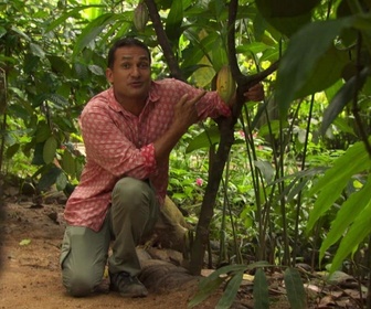 Replay Saveurs du Sri Lanka avec Peter Kuruvita - La nostalgie d'un curry