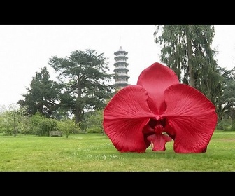 Replay No comment : Marc Quinn expose ses oeuvres à Kew Gardens