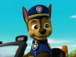 Replay Paw Patrol, la Pat'Patrouille - A la recherche du bébé kangourou