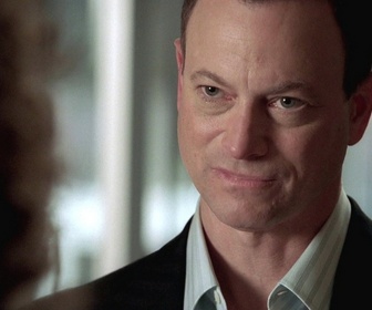 Replay Les experts : Manhattan - S02 E22 - La preuve par trois