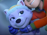 Replay Paw Patrol, la Pat'Patrouille - Everest, la petite nouvelle !