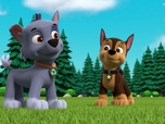 Replay Paw Patrol, la Pat'Patrouille - S10 E21 - La piñata d'anniversaire