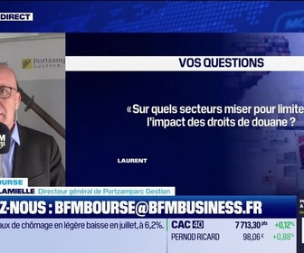 Replay BFM Bourse - Culture Bourse : Sur quels secteurs miser pour limiter l'impact des droits de douane ? - 01/09