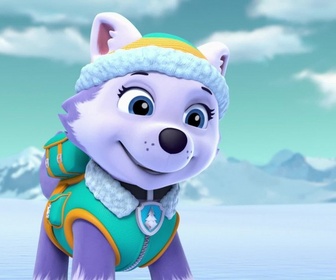 Replay Paw Patrol, la Pat'Patrouille - Le bébé pingouin