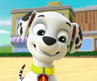 Replay Paw Patrol, la Pat'Patrouille - S03 E35 - Le jouet de l'espace