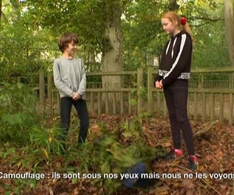 Replay E=M6 Family - Quand les animaux font mieux que nous