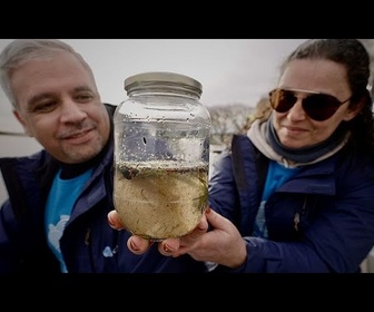 Replay Robots et barrières à bulles : Comment Venise et le Portugal remédient au plastique dans les océans