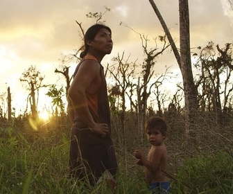 Replay Nicaragua, des patrouilles pour sauver la forêt