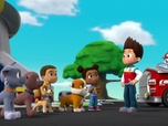 Replay Paw Patrol, la Pat'Patrouille - La Pat'Patrouille et les jumeaux