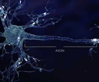 Replay Les secrets du cerveau (1/2)
