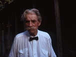 Replay Albert Schweitzer : l'homme derrière le mythe