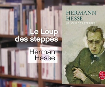 Replay La p'tite librairie - Le Loup des steppes - Hermann Hesse