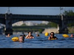 Replay Paris : la baignade dans la Seine gagne en popularité... surtout pendant la canicule