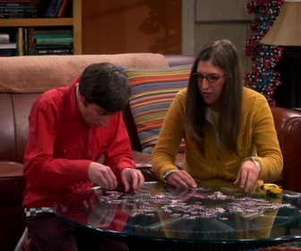 Replay The Big Bang Theory - S7E3 - Chasse au trésor