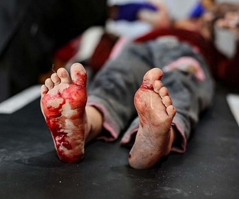 Replay Israël-Palestine : le conflit sans fin - Gaza : les alliés d'Israël haussent le ton