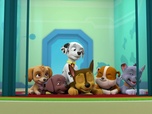 Replay Paw Patrol, la Pat'Patrouille - Un monstre à la Grande Vallée