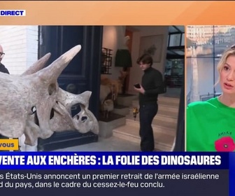 Replay Culture et vous - Vente aux enchères: la folie des dinosaures