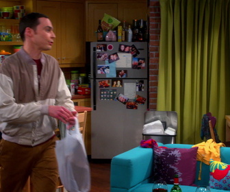 Replay The Big Bang Theory - S7E2 - Une affaire d'œstrogènes