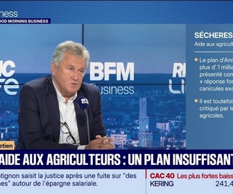 Replay Good Morning Business - Thierry Blandinières (InVivo) : Plan d'aide aux agriculteurs, un plan insuffisant ? - 08/09