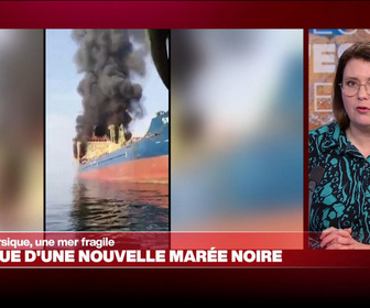 Replay Élément Terre, la quotidienne - Risque d'une nouvelle marée noire dans le fragile écosystème du Golfe Persique