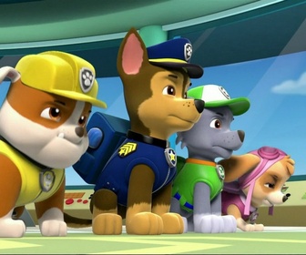 Replay Paw Patrol, la Pat'Patrouille - Des vaches et des cow-boys