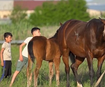 Replay Invitation au voyage - 17/12/2024 - À cheval en Ouzbékistan