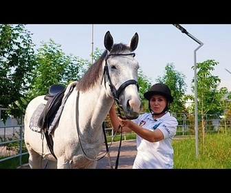Replay Chevaux, héritage et nouvelle génération de cavaliers
