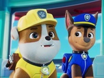 Replay Paw Patrol, la Pat'Patrouille - La grande parade des jumeaux