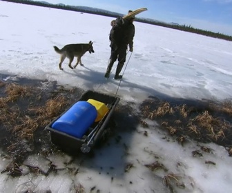 Replay Seuls face à l'Alaska - S6E13 - Toujours plus haut