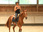Replay Au galop !