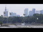 Replay Pologne : alerte hydrologique dans la capitale, niveau d'eau critique dans la Vistule