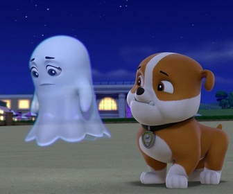 Replay Paw Patrol, la Pat'Patrouille - Froussette et ses amis