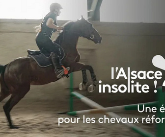 Replay L'Alsace insolite - Une école de reconversion pour les chevaux de course