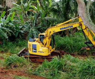 Habitations En Peril replay