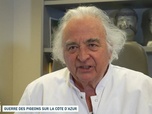 Replay Un jour, un doc - Guerre des pigeons sur la Côte d'Azur / La police des crottes