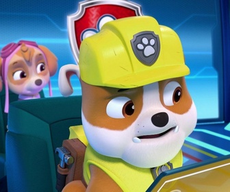 Replay Paw Patrol, la Pat'Patrouille - L'équipe au grand complet